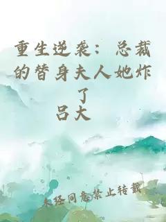 重生逆袭：总裁的替身夫人她炸了